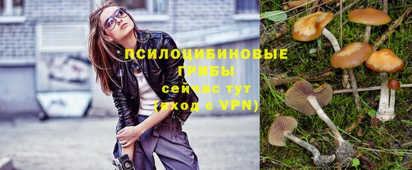 скорость Осташков