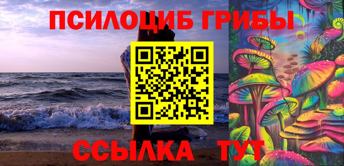 Псилоцибиновые грибы GOLDEN TEACHER Рославль